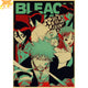 Poster Equipe Ichigo - Bleach™