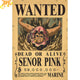 Poster Wanted Senor Pink - One Piece™